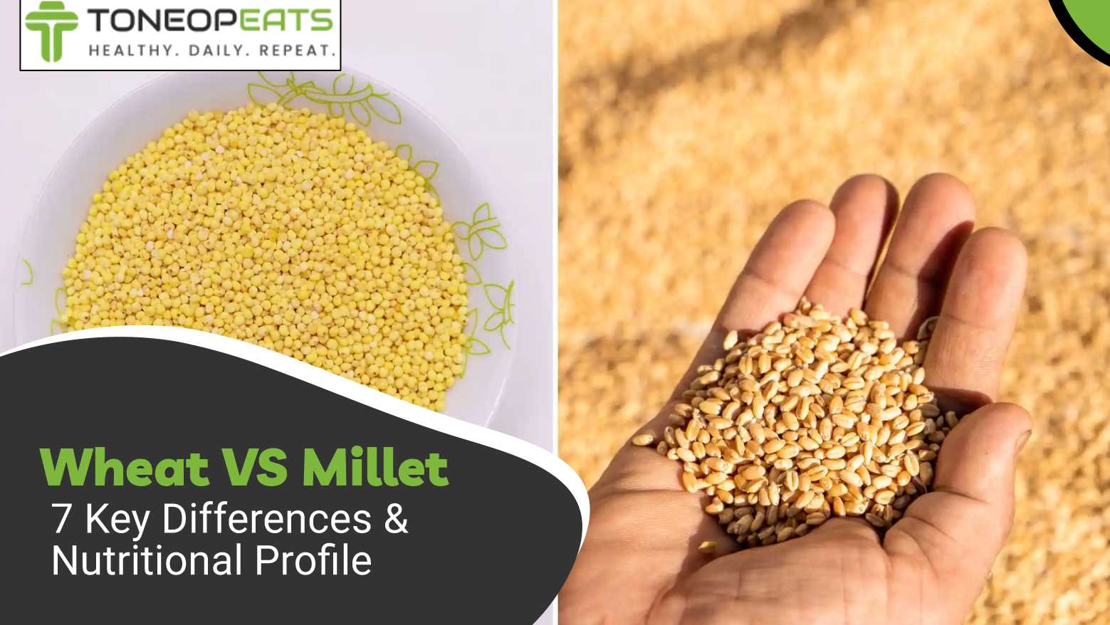 Wheat Vs Millet: 7 Key Differences & Nutritional Profile Of These Grains!