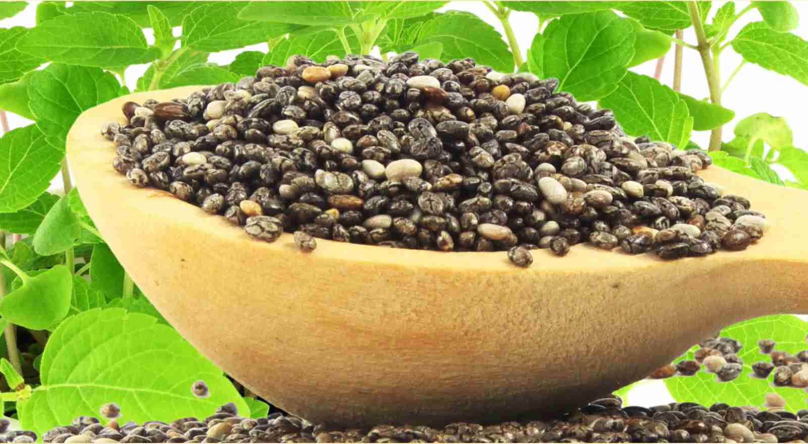 5 Benefits Of Chia Seeds For Gastritis Relief & Ways To Use Them Naturally!