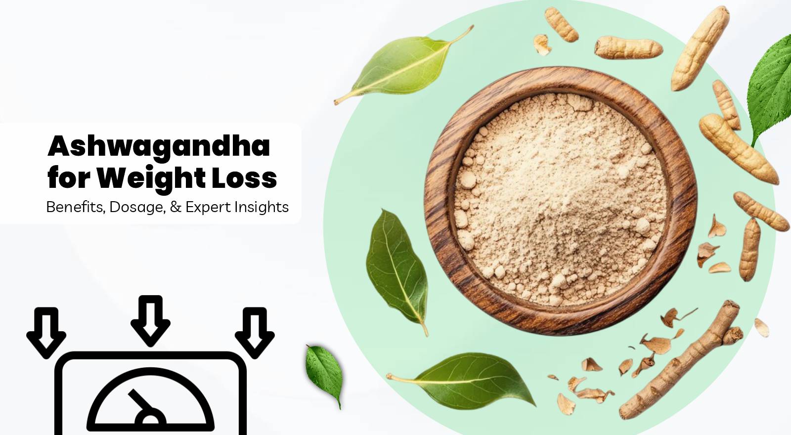The Truth About Ashwagandha for Weight Loss: Benefits, Dosage, and Expert Insights