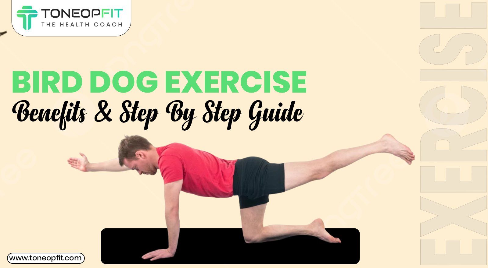 Bird Dog Exercise Benefits, Steps To Perform And Target Muscles Groups!