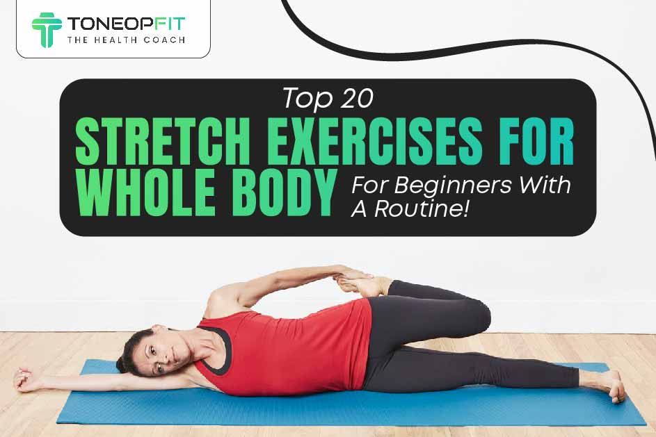 Top 20 Stretch Exercises For Whole Body For Beginners With A Routine! 